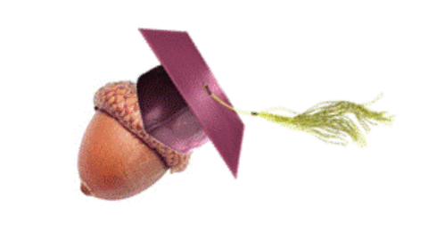 acorn with hat